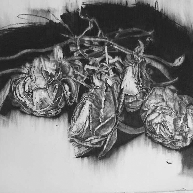 placeholder image-sq