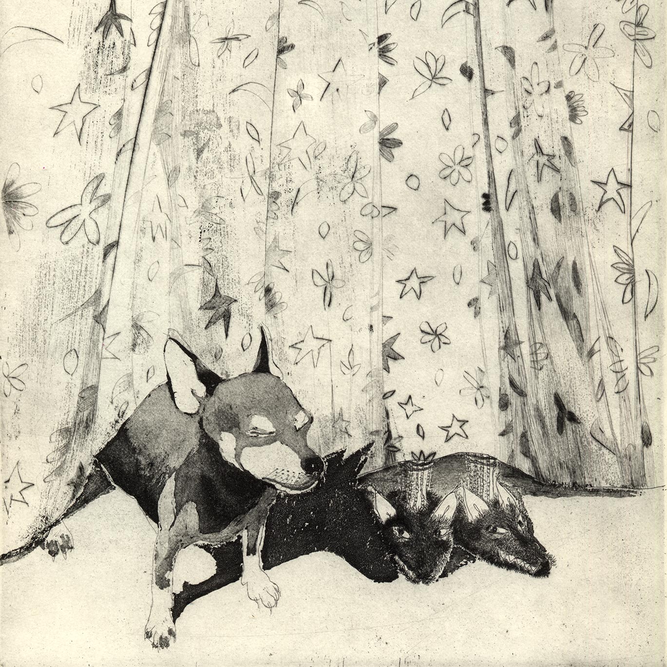 placeholder image-sq